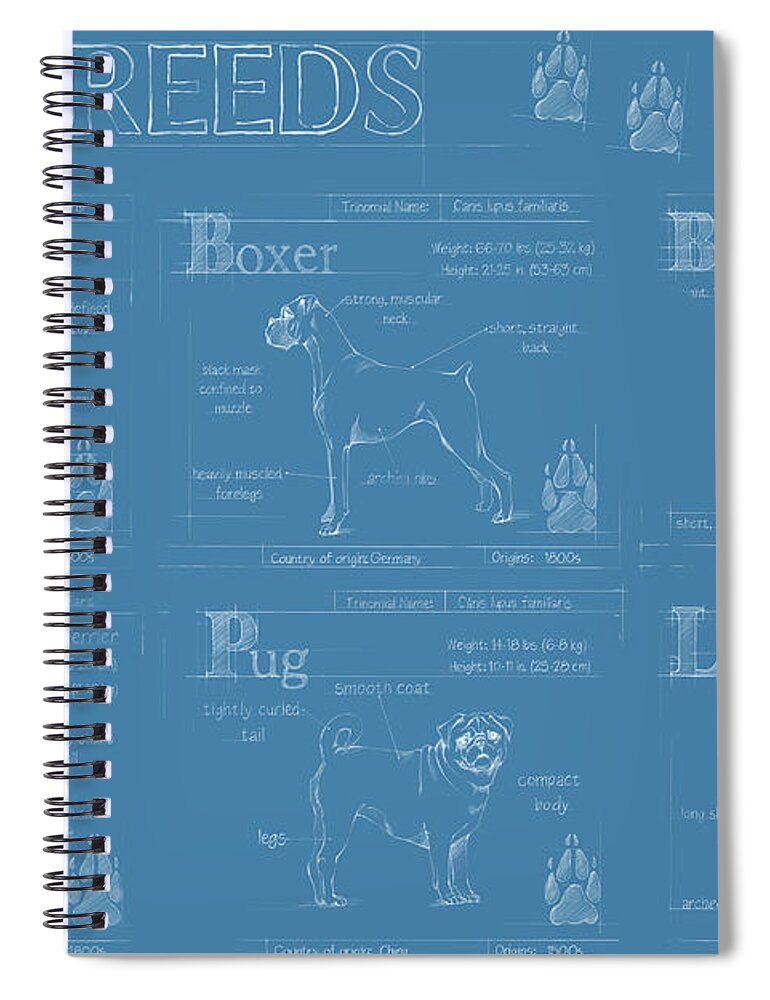 Pets Spiral Notebook featuring the painting Dog Breeds Infograph #1 by Ethan Harper