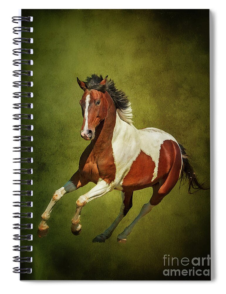 Nina Stavlund Spiral Notebook featuring the photograph Equus Caballus... by Nina Stavlund