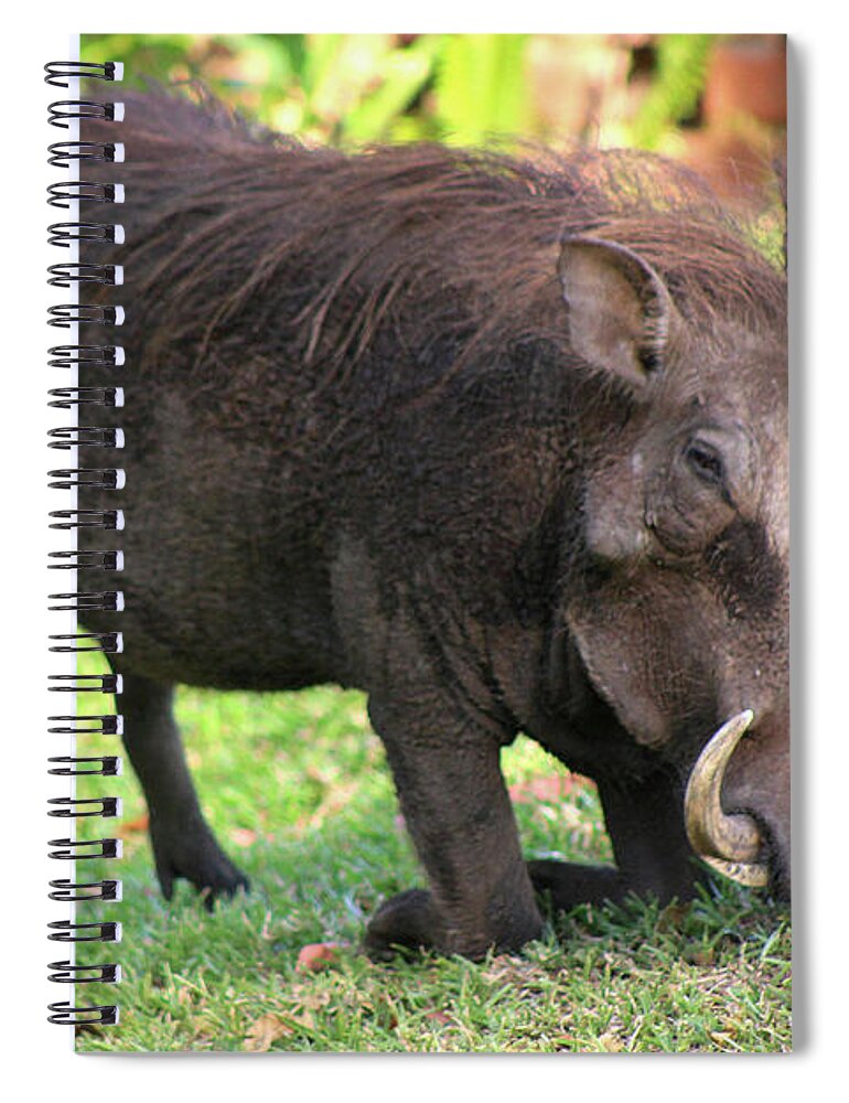  Spiral Notebook featuring the photograph 1 by Eric Pengelly