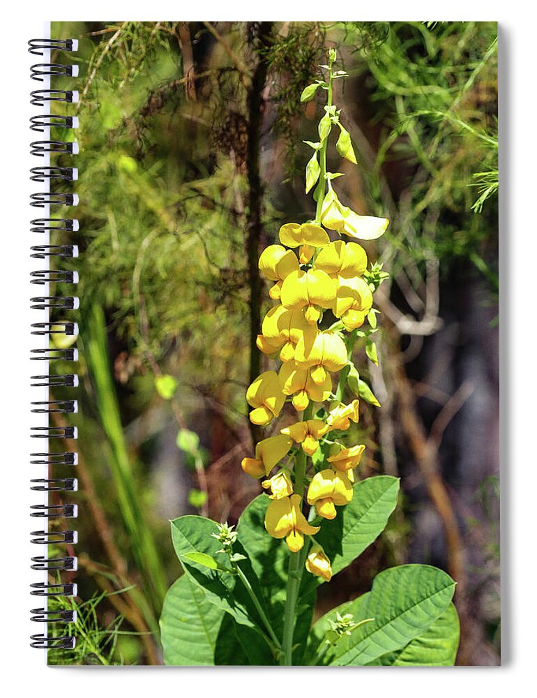 Flowers Spiral Notebook featuring the photograph Fall Beauty #1 by Rick Redman