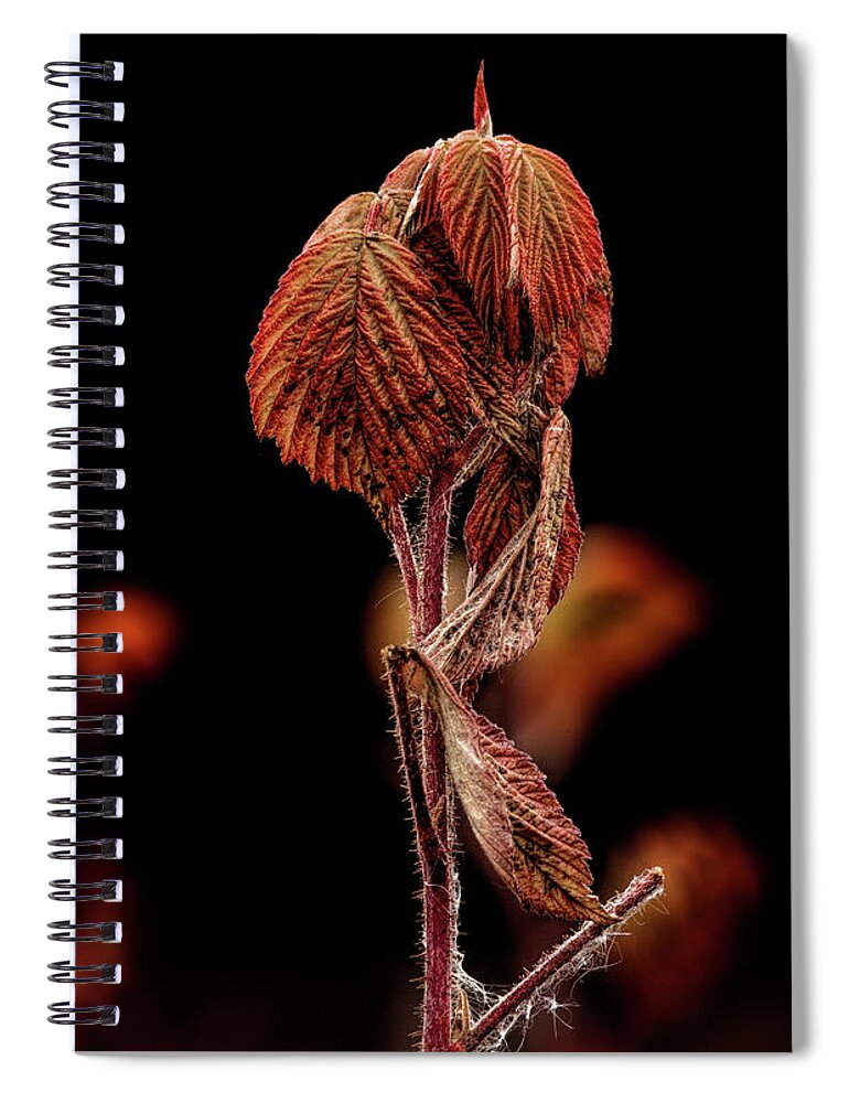 Alaska Spiral Notebook featuring the photograph Fall Leaves by Fred Denner