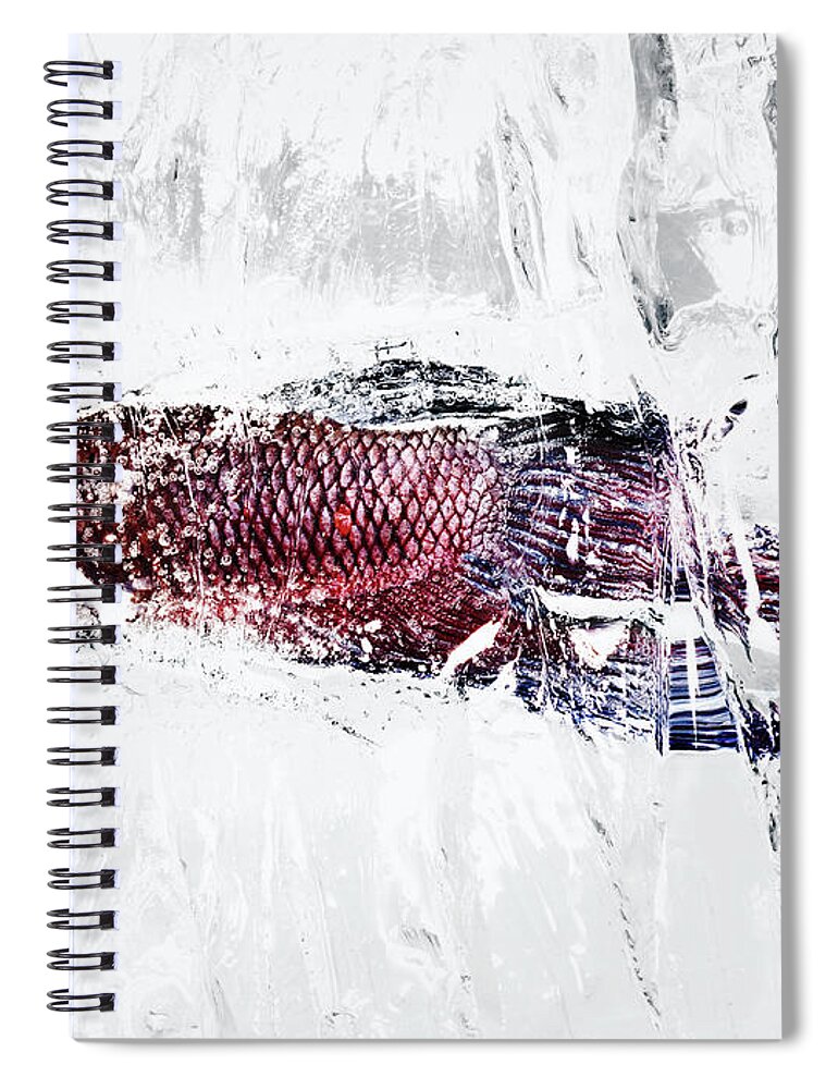 Outdoors Spiral Notebook featuring the photograph Fish In Ice #1 by Yusuke Murata
