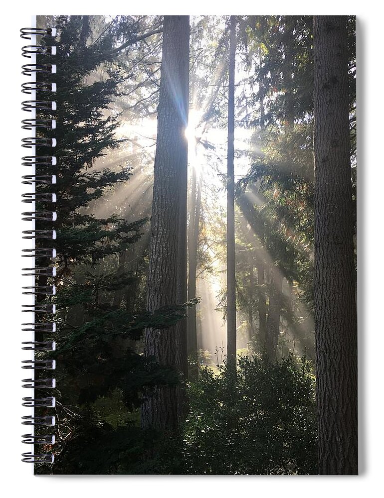 Forest Spiral Notebook featuring the photograph Forest Sunlight #1 by Jerry Abbott