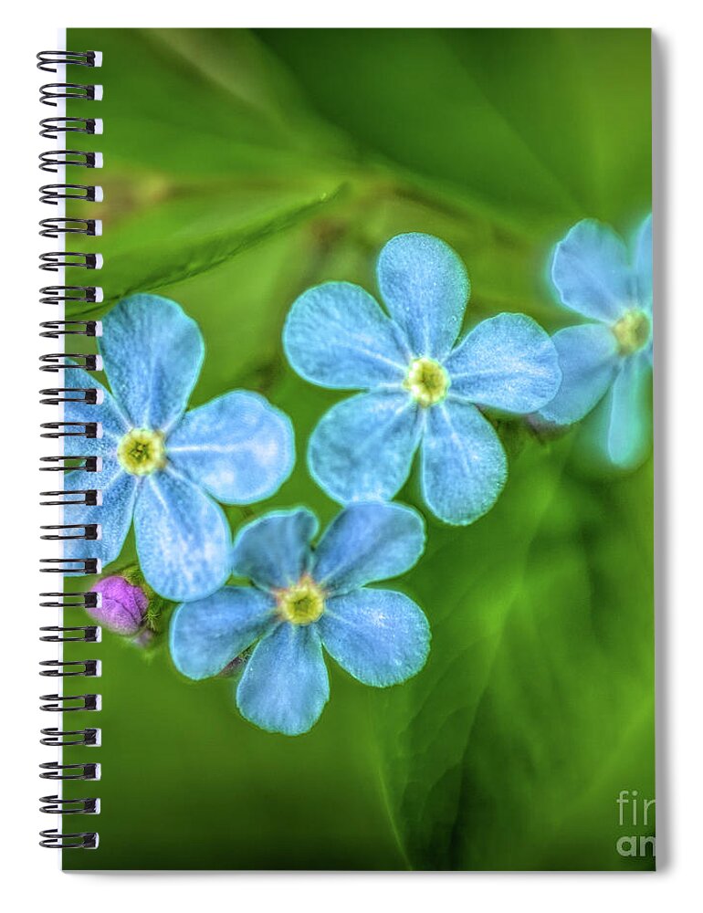 Wild Flower Spiral Notebook featuring the photograph Forget Me Not #1 by Roxie Crouch