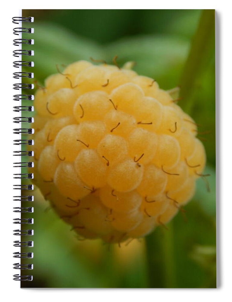 Vegetables Spiral Notebook featuring the photograph Fruits and vegetables eating in the garden #1 by Oleg Prokopenko