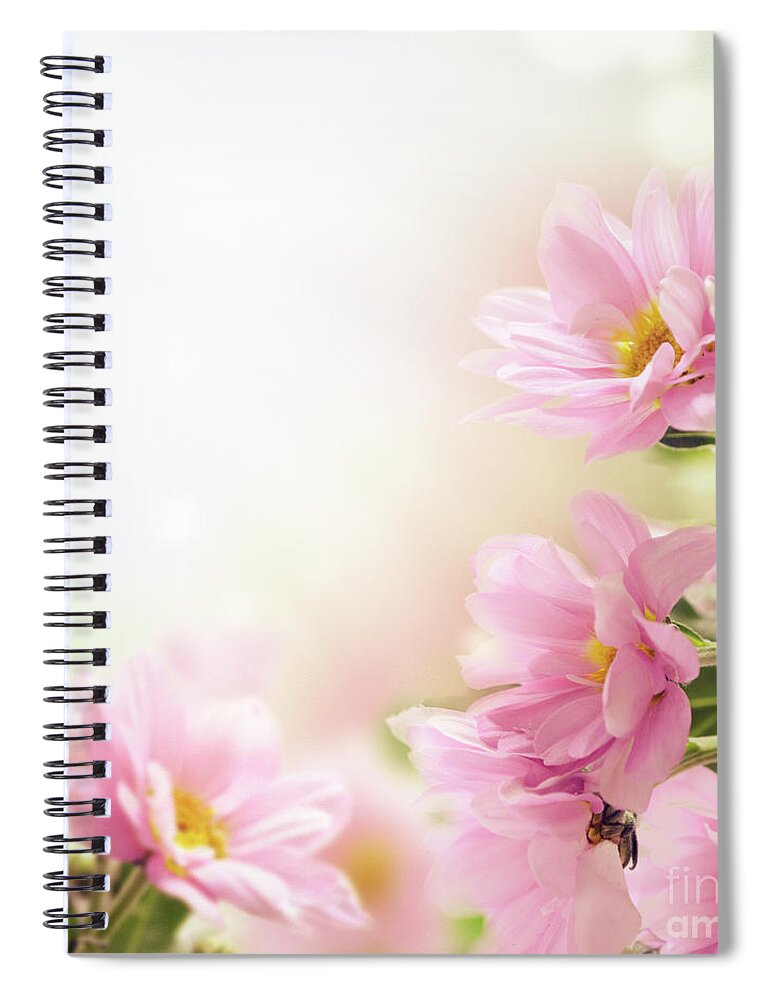 Flower Spiral Notebook featuring the photograph Garden with pink flowers by Jelena Jovanovic