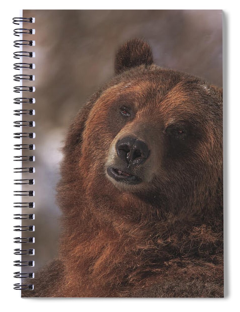 Animal Spiral Notebook featuring the photograph Grizzly #1 by Brian Cross