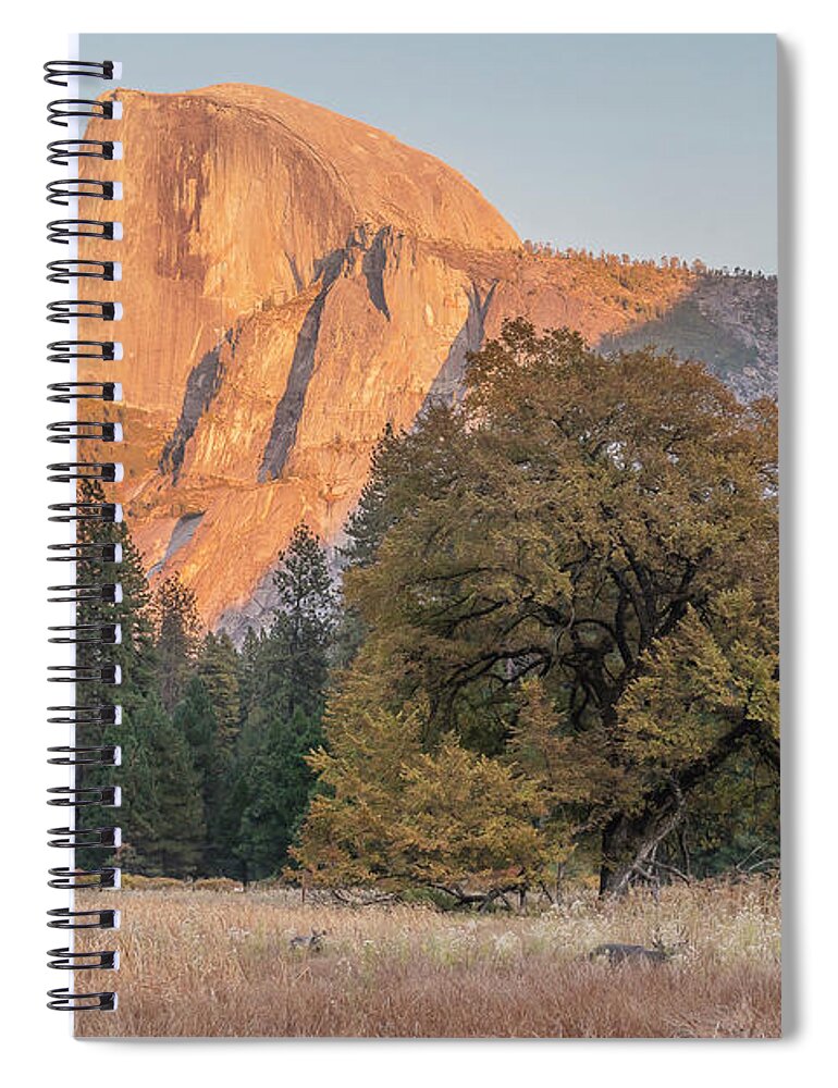 Half Dome Spiral Notebook featuring the photograph Half Dome At Sunset #1 by Bill Roberts
