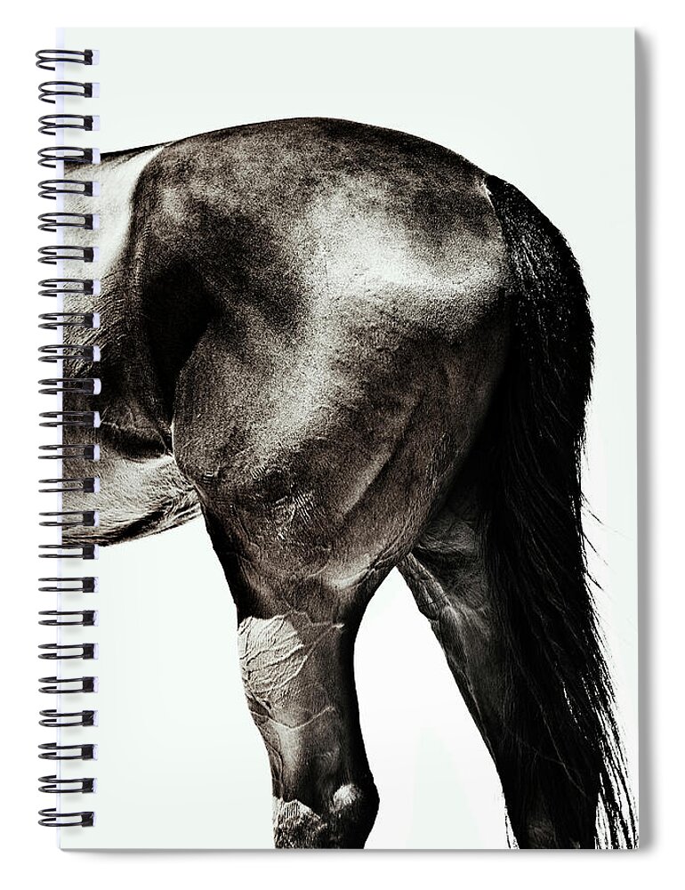 Horse Spiral Notebook featuring the photograph Horse #1 by Yusuke Murata