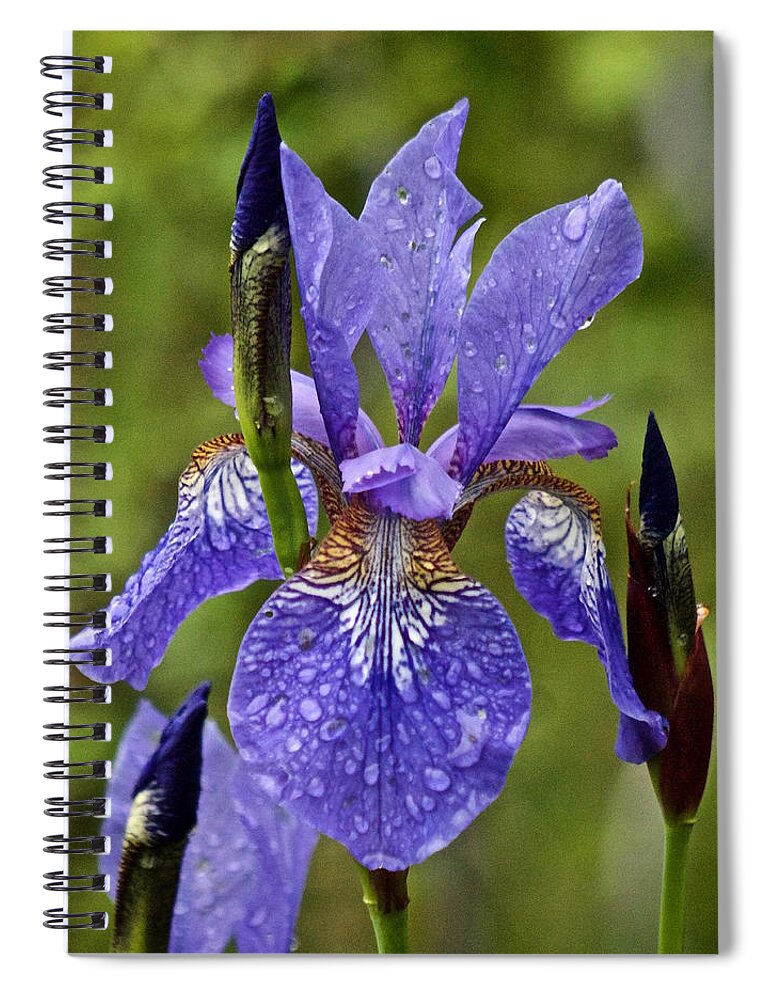 Iris Spiral Notebook featuring the photograph Iris in the Rain #1 by Richard Cummings