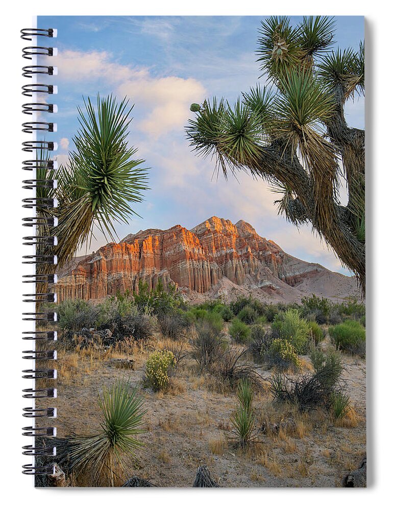 00571642 Spiral Notebook featuring the photograph Joshua Tree And Cliffs, Red Rock Canyon State Park, California by Tim Fitzharris