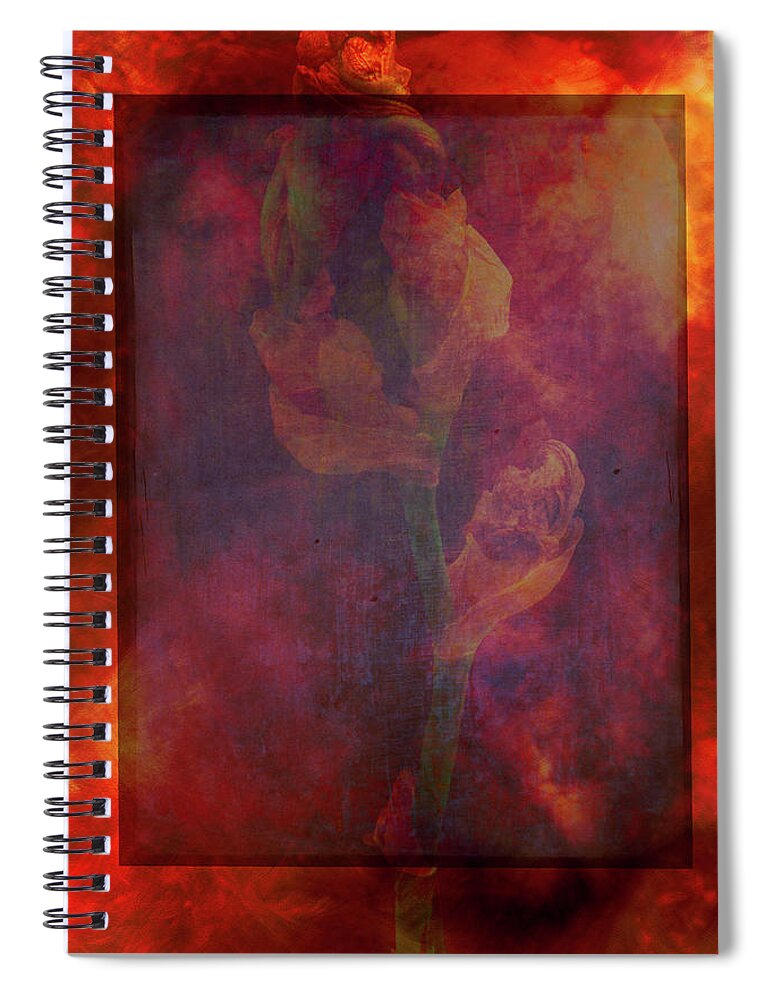 Julia Cameron Awards Spiral Notebook featuring the photograph Mirrors by Cynthia Dickinson