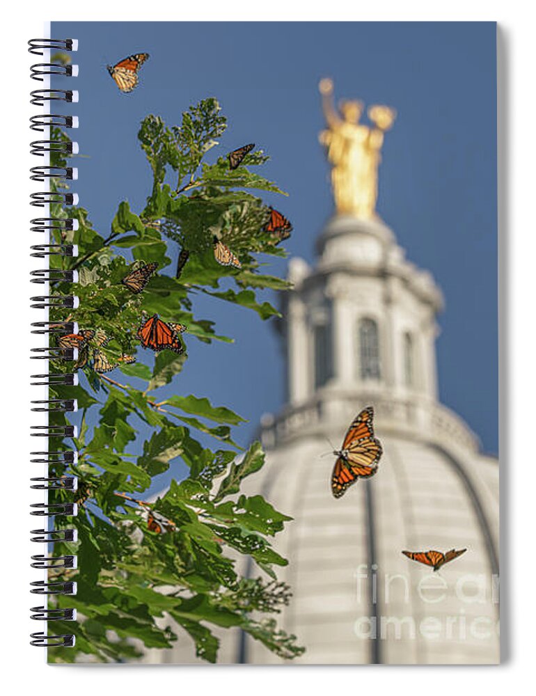 Monarchs Spiral Notebook featuring the photograph Monarchs Migrating Through Madison by Amfmgirl Photography