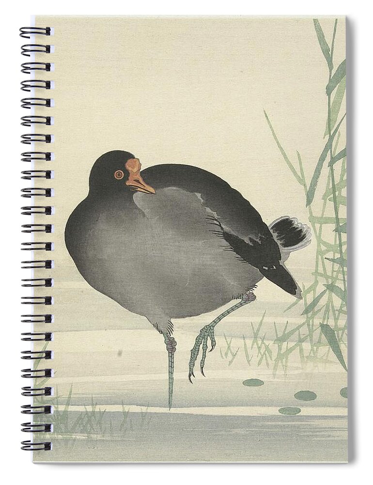 Bird Spiral Notebook featuring the painting Moorhen by Ohara Koson