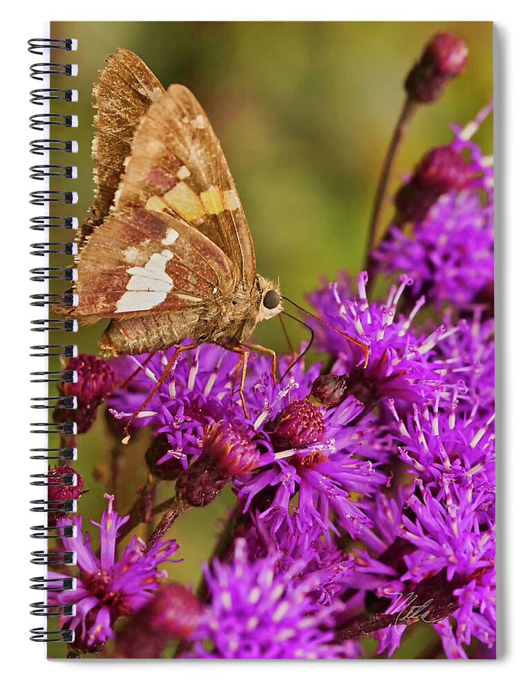 Macro Photography Spiral Notebook featuring the photograph Moth On Purple Flowers #1 by Meta Gatschenberger