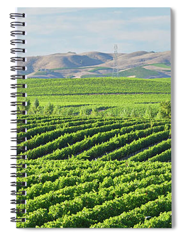 Scenics Spiral Notebook featuring the photograph Napa Valley Vineyard #1 by S. Greg Panosian