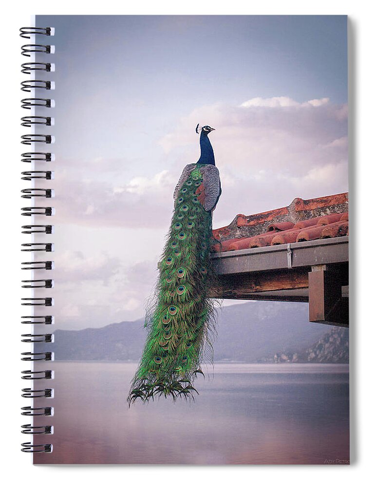 Animal Themes Spiral Notebook featuring the photograph Ochrid Lake by Photograpy Is A Play With Light