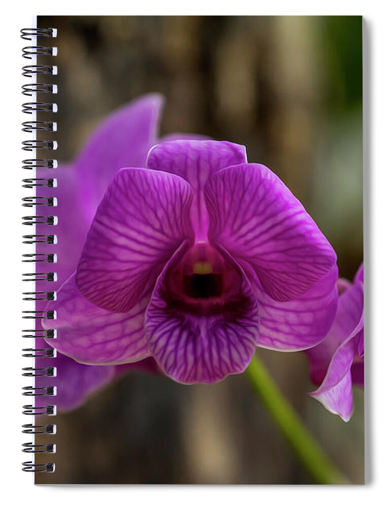 Orchid Spiral Notebook featuring the photograph Orchid by Stuart Manning