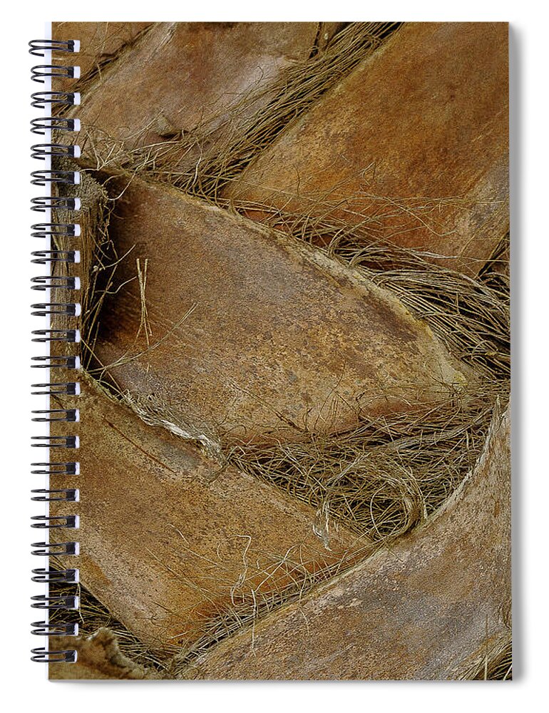 Texturas Spiral Notebook featuring the photograph Palm #1 by Silvia Marcoschamer