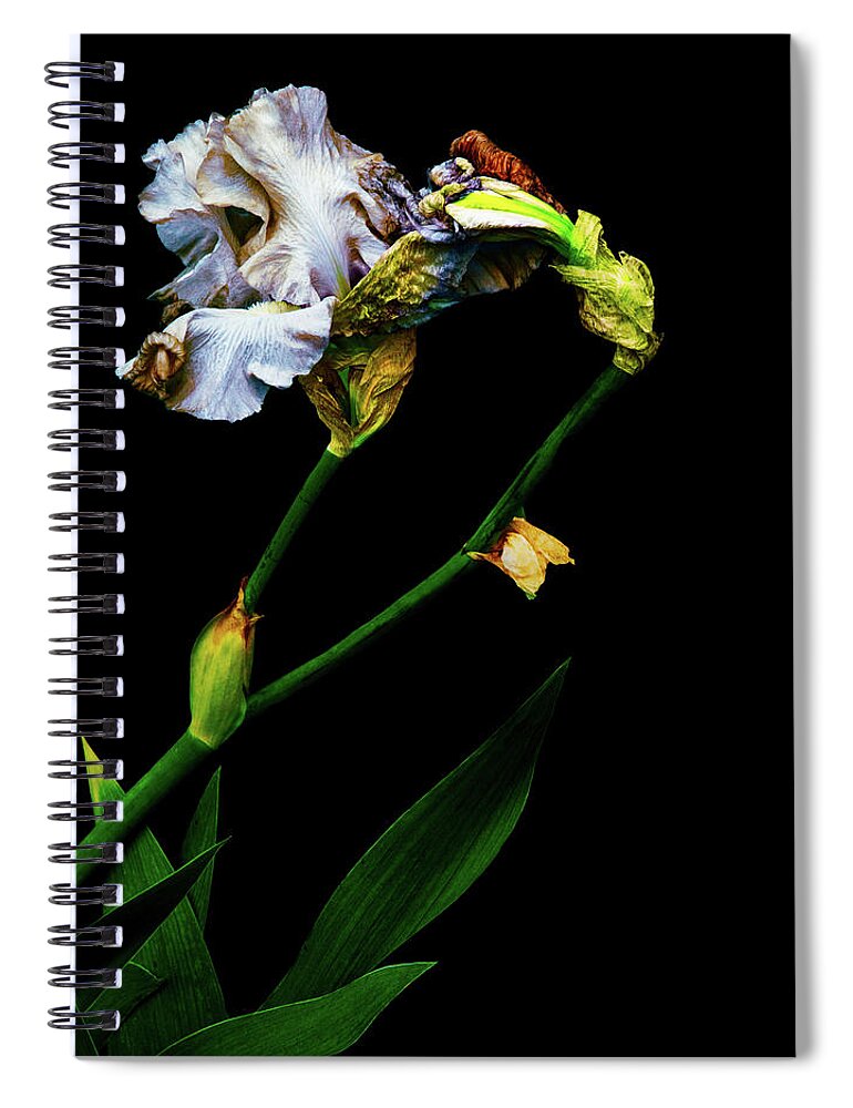 Fine Art Photography Spiral Notebook featuring the photograph Penetrate the Magical by Cynthia Dickinson