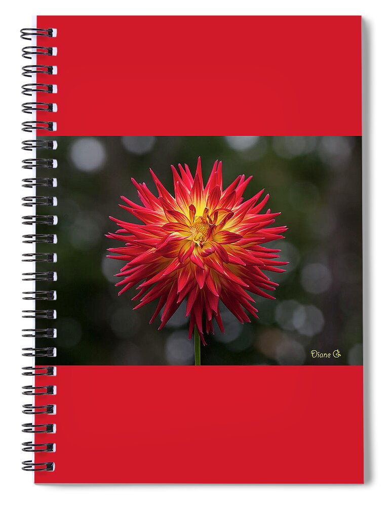 Red Dahlia Spiral Notebook featuring the photograph Red Dahlia #1 by Diane Giurco
