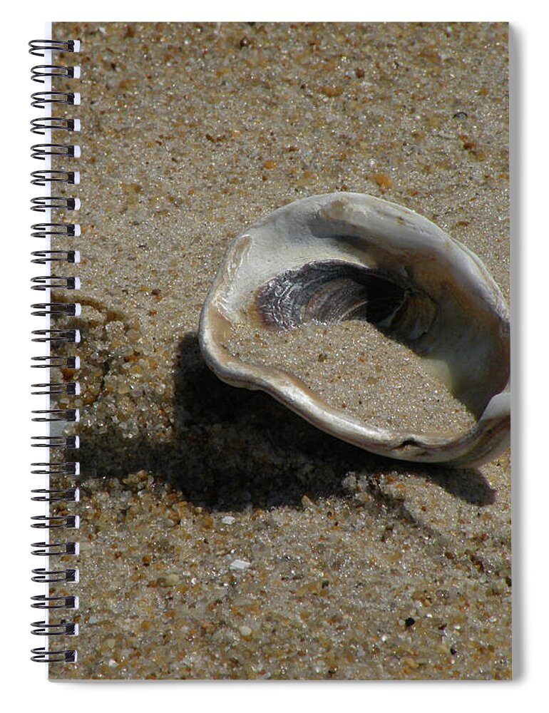 Beach Spiral Notebook featuring the mixed media Sand On A Half Shell #1 by Trish Tritz