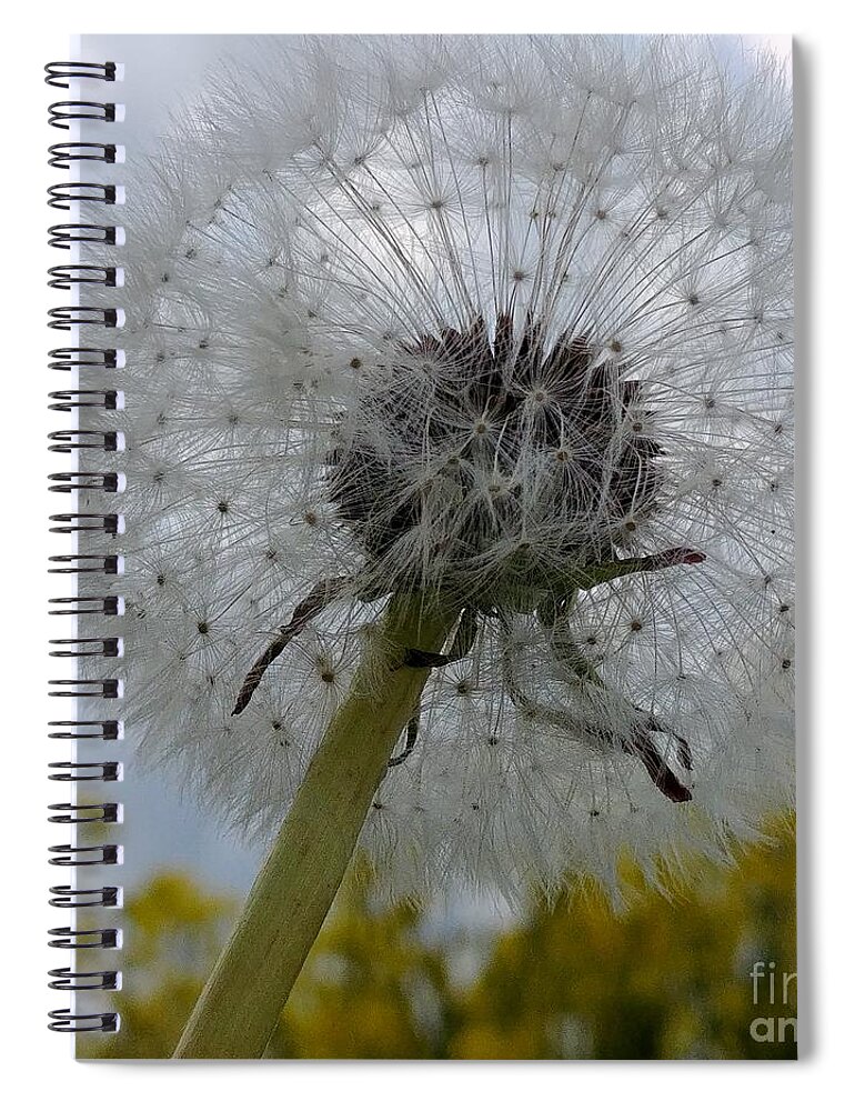 Flower Spiral Notebook featuring the photograph Serenity by Karin Ravasio
