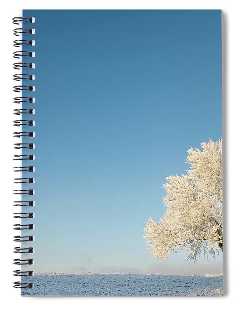 Snow Spiral Notebook featuring the photograph Single Elm Tree Covered In Snow In Open #1 by Erik Buraas