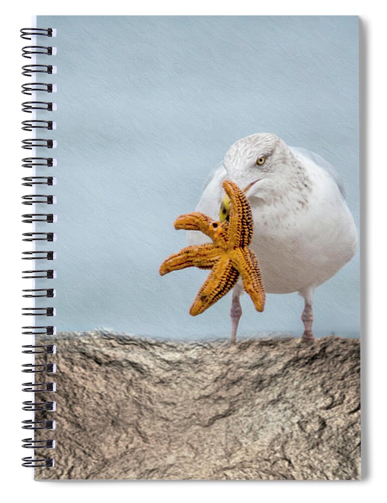 Seagull Spiral Notebook featuring the photograph Starfish For Dinner #1 by Cathy Kovarik