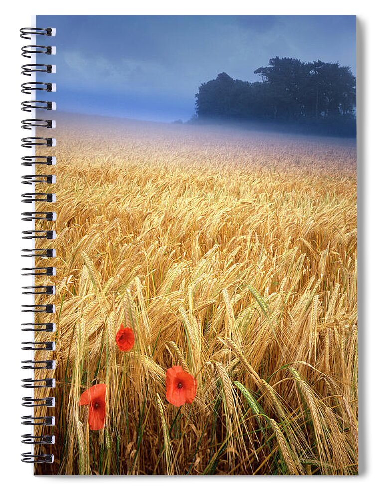 Nag861758 Spiral Notebook featuring the photograph Summertime #1 by Edmund Nagele FRPS