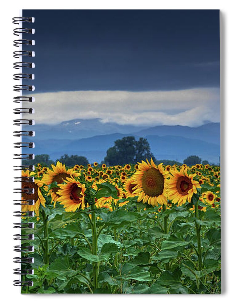 Colorado Spiral Notebook featuring the photograph Sunflowers Under A Stormy Sky #1 by John De Bord