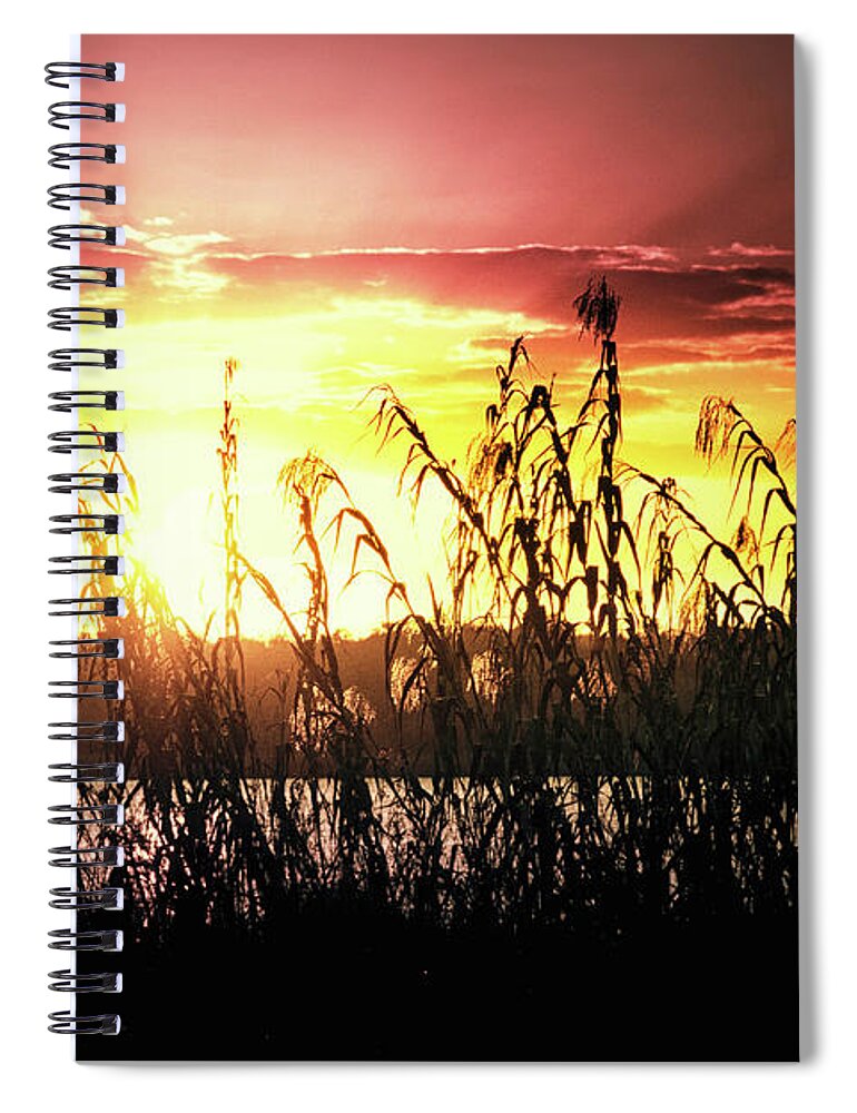 Sunlight Spiral Notebook featuring the photograph Bright sunset on the lake by Tatiana Travelways