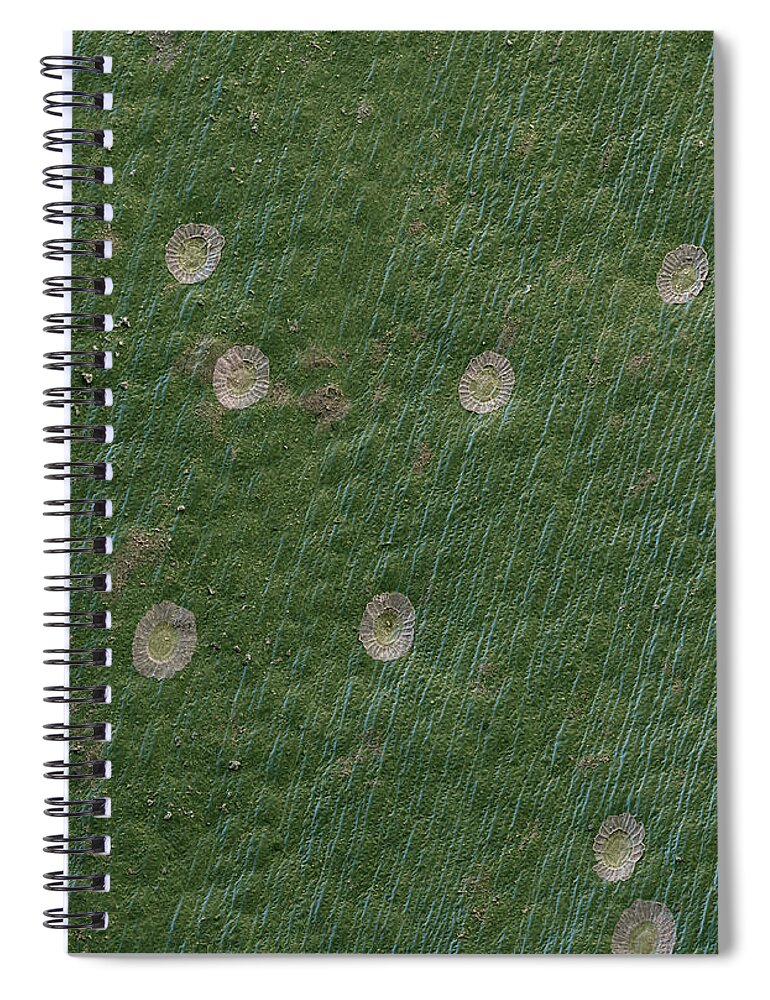 Botany Spiral Notebook featuring the photograph Surface Of Bromeliad Leaf, Sem #1 by Meckes/ottawa