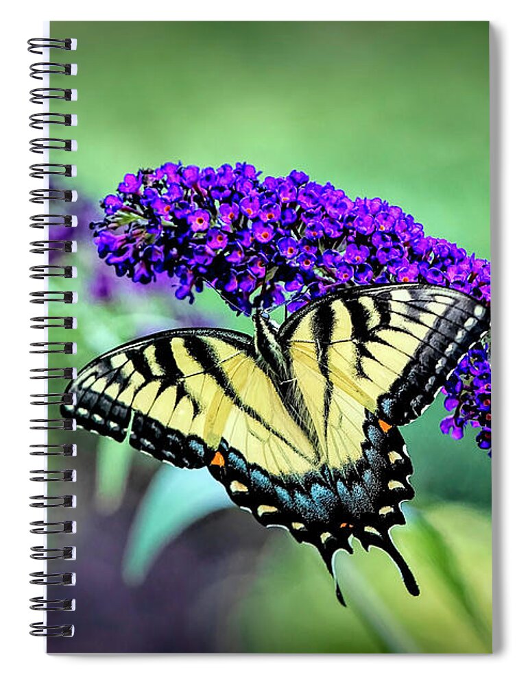 Butterfly Spiral Notebook featuring the photograph Swallowtail Butterfly on Purple by Deborah Penland