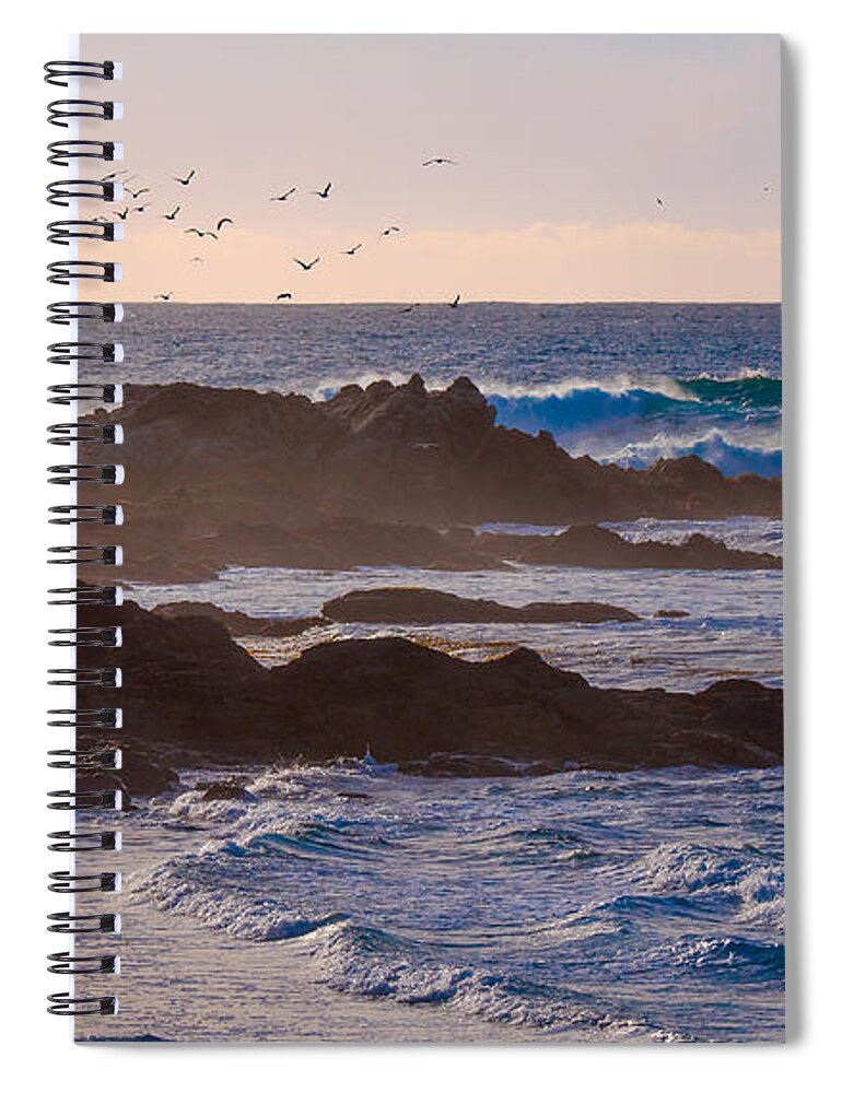 Carmel Point Spiral Notebook featuring the photograph The Birds by Derek Dean