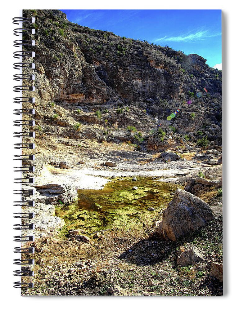 Water Spiral Notebook featuring the photograph The Watering Hole #1 by George Taylor