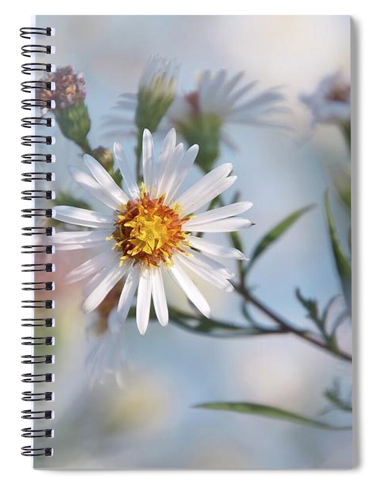 Flower Spiral Notebook featuring the photograph Touches 4 by Jaroslav Buna