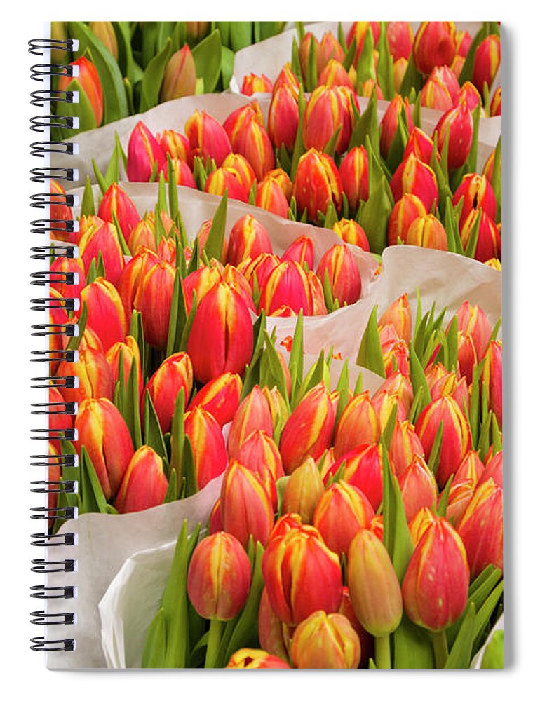 North Holland Spiral Notebook featuring the photograph Tulips For Sale At A Flower Market #1 by P A Thompson