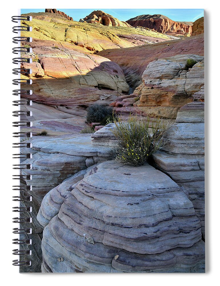 Valley Of Fire State Park Spiral Notebook featuring the photograph Valley of Fire's Pastel Canyon #1 by Ray Mathis