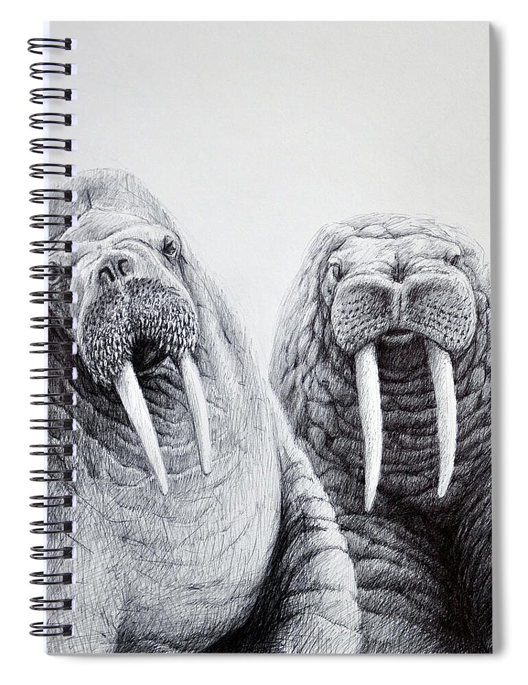 Animal Spiral Notebook featuring the drawing Walrus Buddies by Rick Hansen