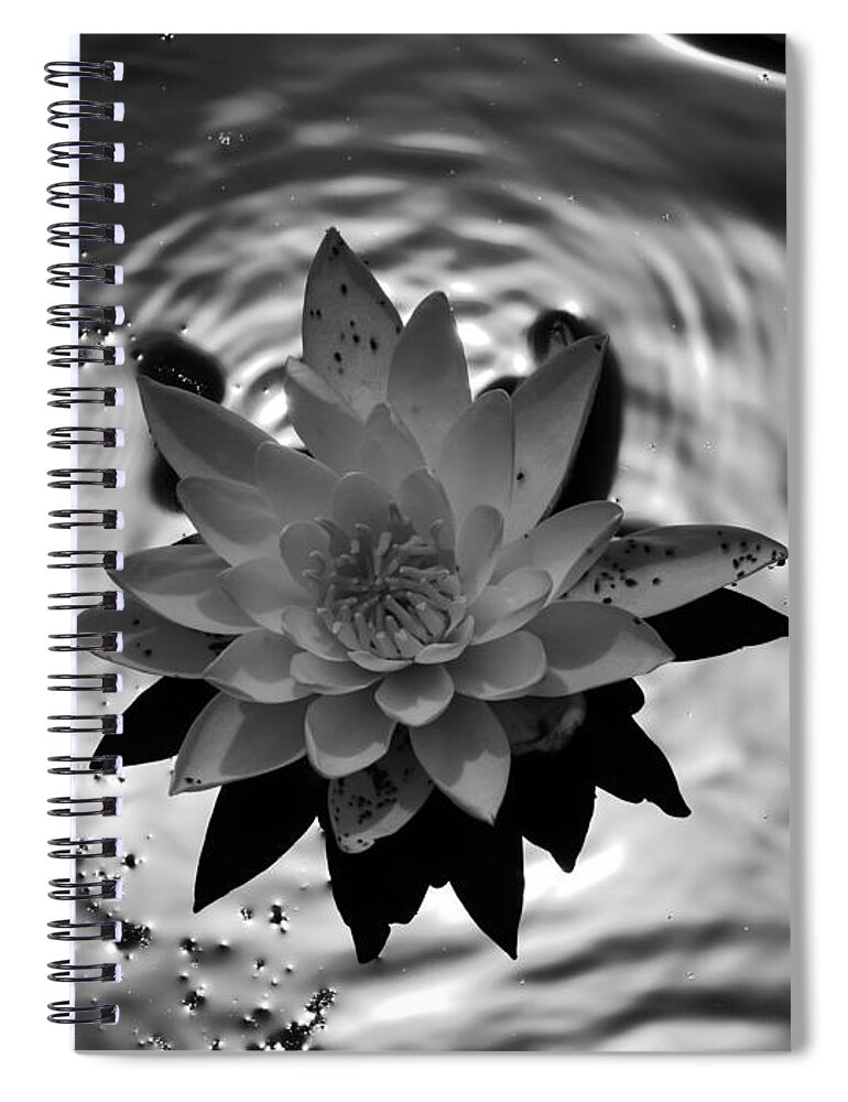 Jane Ford Spiral Notebook featuring the photograph Water lily #1 by Jane Ford