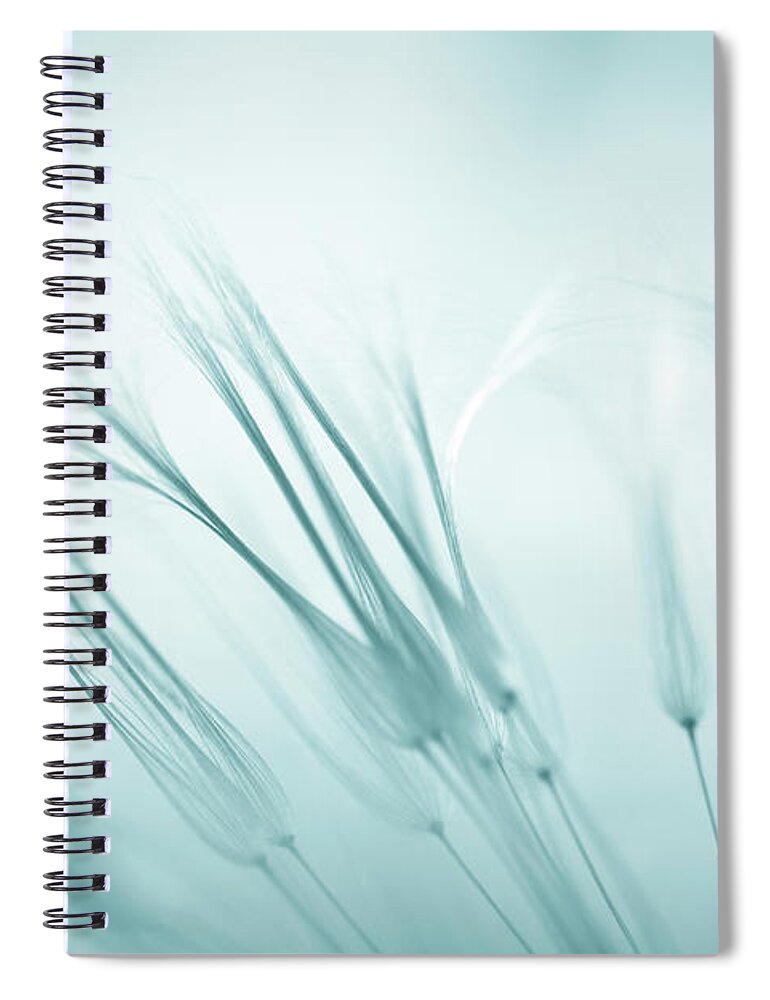 Silver Colored Spiral Notebook featuring the photograph Wildflower Abstract #1 by Jasmina007