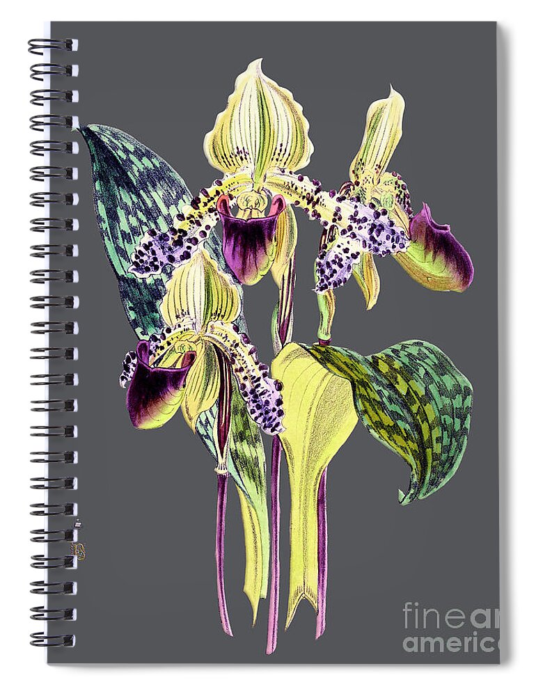 Vintage Spiral Notebook featuring the digital art Orchid Old Print #12 by Baptiste Posters