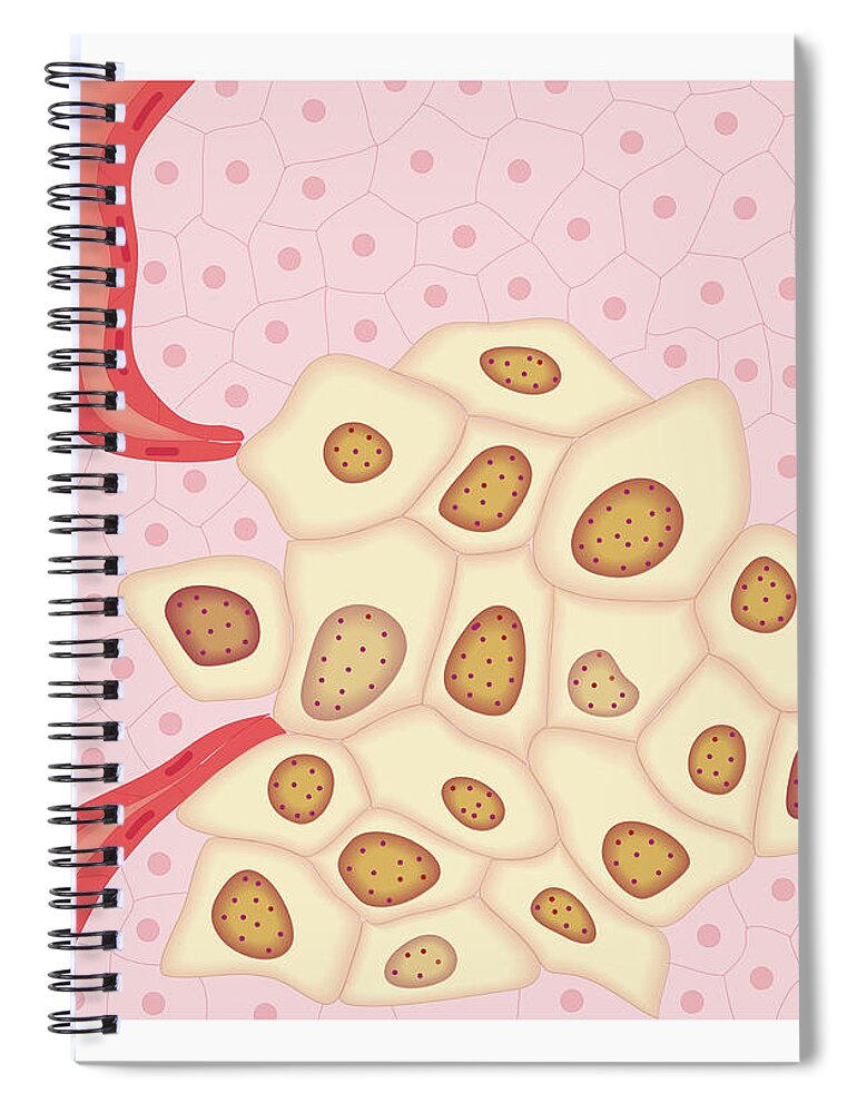 Problems Spiral Notebook featuring the digital art Cross Section Biomedical Illustration #13 by Dorling Kindersley