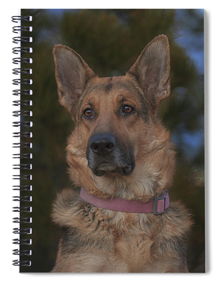 Animal Spiral Notebook featuring the photograph Liesl #15 by Brian Cross