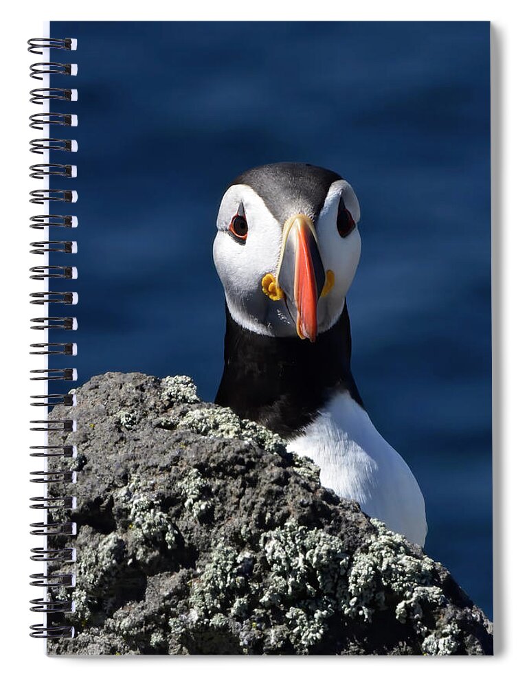 Puffin Spiral Notebook featuring the photograph Atlantic Puffin #2 by Kuni Photography