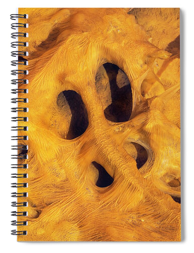 American West Spiral Notebook featuring the photograph Bacterial Growth In Thermal Spring #2 by Ivan Kuzmin