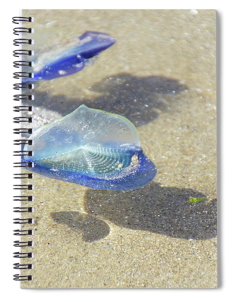 Coast Spiral Notebook featuring the photograph Blue jellyfish #2 by Steve Estvanik