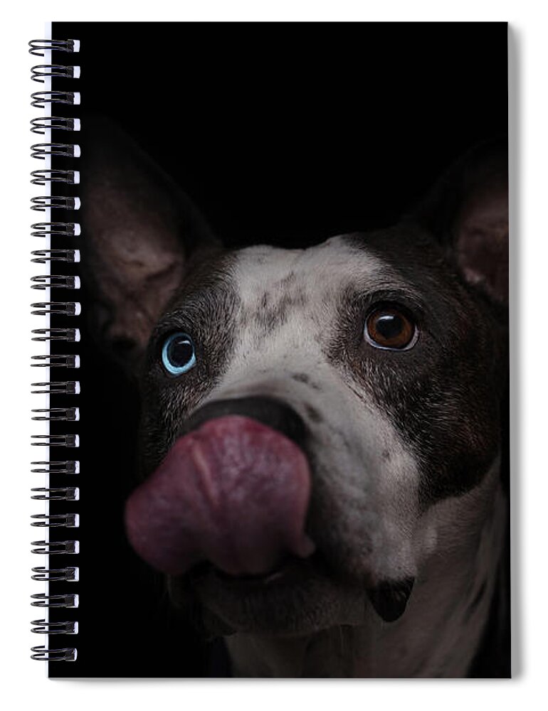 Animal Spiral Notebook featuring the photograph Cleo #2 by Brian Cross