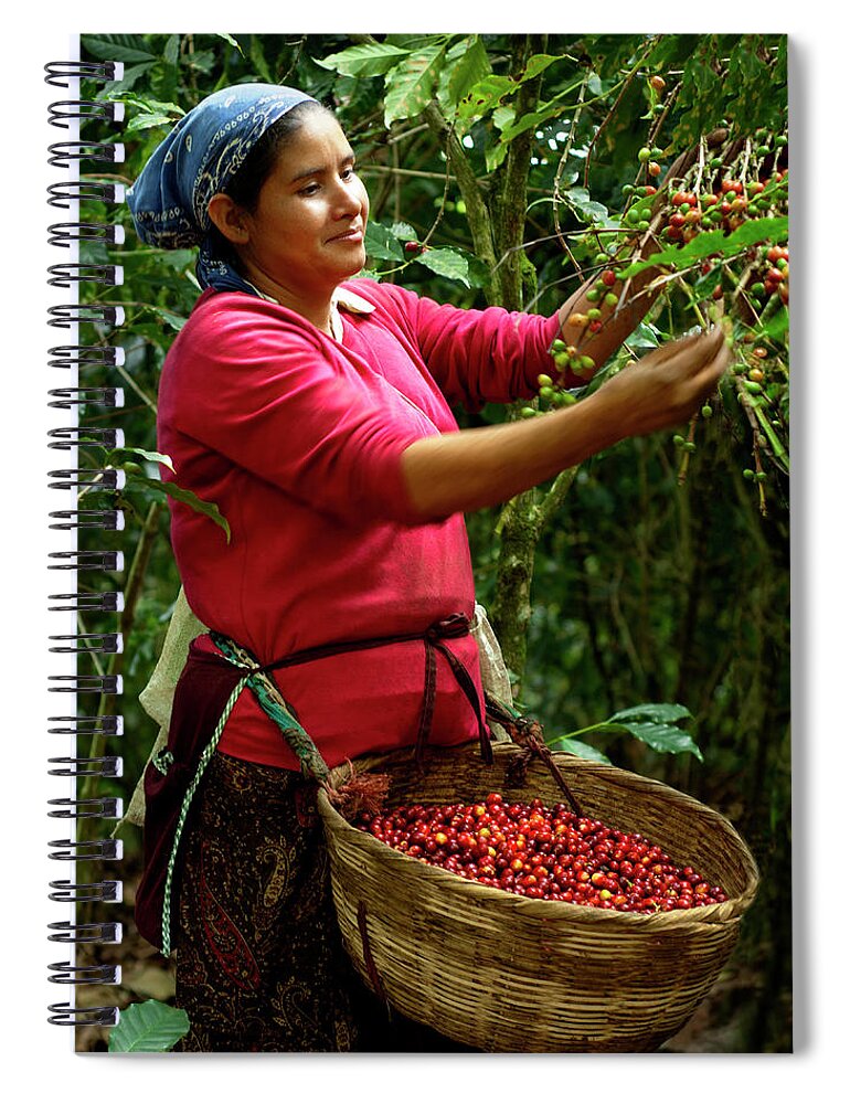 Working Spiral Notebook featuring the photograph Coffee Picker, El Salvador #2 by John Coletti